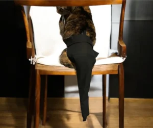 Purr-fect Tail Protector