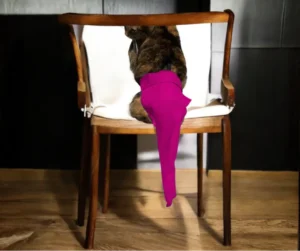 Dark Pink Cat Protector