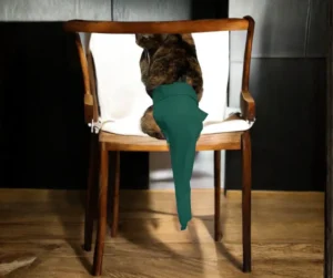 Hunter Green Cat Protector