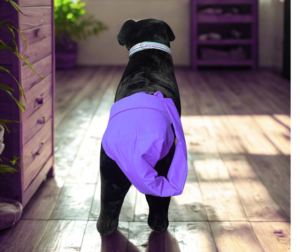 Female Tail Protector