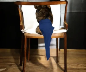 Navy Blue Cat Protector