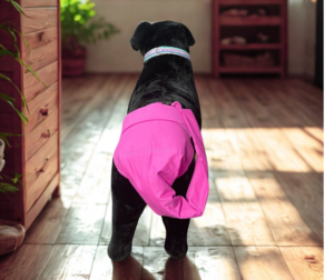 Dark Pink Female Wiggle Saver Tail Protector