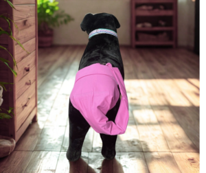 Light Pink Female Wiggle Saver Tail Protector