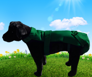 Green Protector