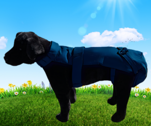 Navy Blue Protector