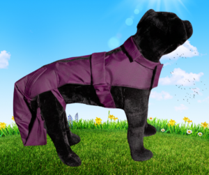 Purple Protector