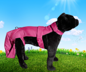 Dark Pink Protector